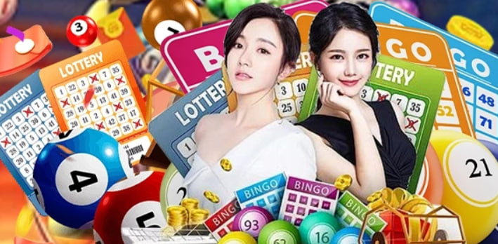 bj66